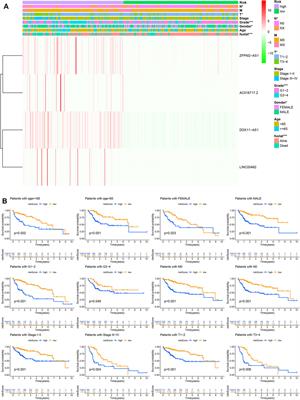 An lncRNA Model for Predicting the Prognosis of Hepatocellular Carcinoma Patients and ceRNA Mechanism